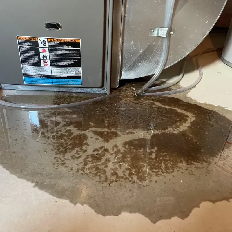 Appliance Leak Cleanup in Northlakes, NC